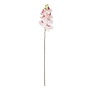 Flor Orquídea Rosa Goma Decoración 95 cm (Set de 24)