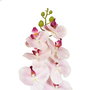 Flor Orquídea Rosa Goma Decoración 95 cm (Set de 24)