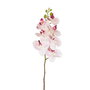 Flor Orquídea Rosa Goma Decoración 95 cm (Set de 24)