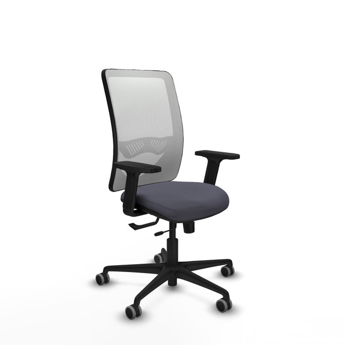 PIQUERAS Y CRESPO Silla de oficina Zulema con mecanismo Sincro/Traslack, Gris oscuro y Blanco PIQUERAS Y CRESPO Silla de oficina Zulema con mecanismo Sincro/Traslack, Gris oscuro y Blanco