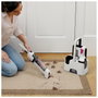 Shark StainForce HX100EUT Aspirador Blanco