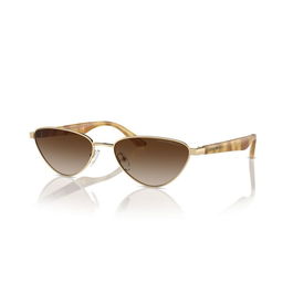 Gafas de Sol Mujer Emporio Armani EA 2153
