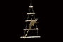 DKD Home Decor Decoración Colgante Árbol de Flor Seca con LED