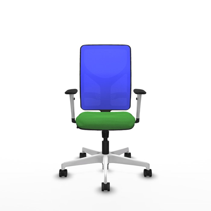 PIQUERAS Y CRESPO Silla de oficina Motilla con mecanismo Sincro, asiento Verde y respaldo Azul PIQUERAS Y CRESPO Silla de oficina Motilla con mecanismo Sincro, asiento Verde y respaldo Azul