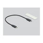 DeLOCK 42001 Carcasa externa para M.2 NVMe PCIe SSD USB 20 Gbps Plata