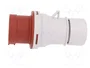 PAWBOL Enchufe Macho 16A 4 Pines IEC 60309