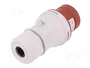 PAWBOL Enchufe Macho 16A 4 Pines IEC 60309
