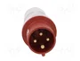 PAWBOL Enchufe Macho 16A 4 Pines IEC 60309