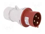 PAWBOL Enchufe Macho 16A 4 Pines IEC 60309