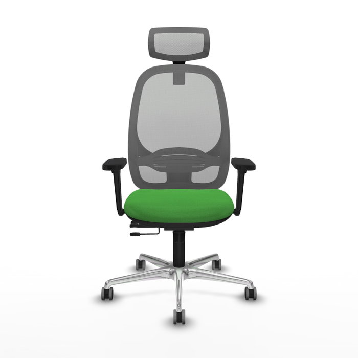 PIQUERAS Y CRESPO Silla de oficina Cilanco con mecanismo Sincro/Traslack, Verde y Gris