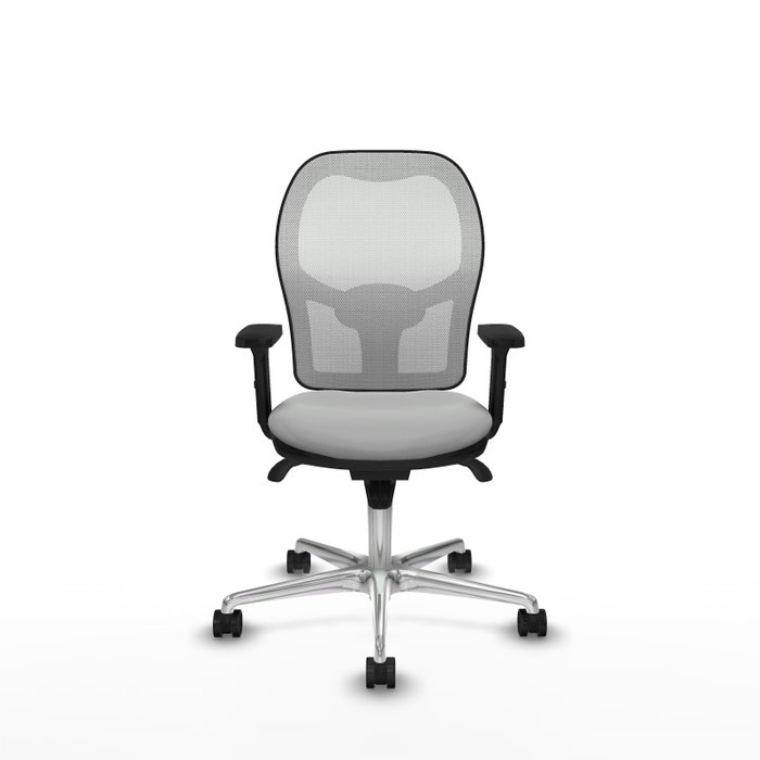 PIQUERAS Y CRESPO Silla de oficina Jorquera Gris claro y Blanco