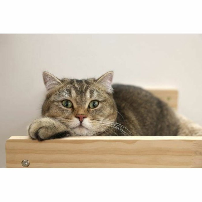 Kerbl Hamaca de pared Timber para gatos de madera maciza y felpa Kerbl Hamaca de pared Timber para gatos de madera maciza y felpa