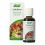 A.VOGEL CISTOFORCE 50ml