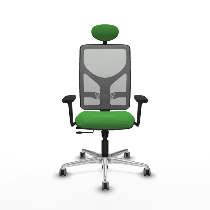 PIQUERAS Y CRESPO Silla de oficina Motilla con mecanismo Sincro/Traslack Verde y Gris