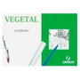 Canson Caja de Láminas Vegetal Guarro Basik 250 Hojas 90g Din A3