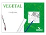 Canson Caja de Láminas Vegetal Guarro Basik 250 Hojas 90g Din A3