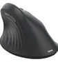 Hama EWM-600 Ratón Inalámbrico Ergonómico Vertical Negro