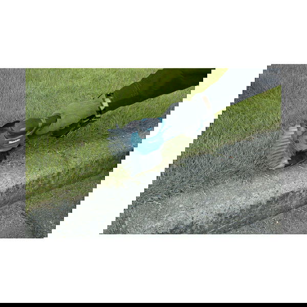 Makita DUM604ZX Tijeras para setos y arbustos con hoja de 16 cm, sin batería