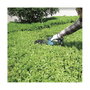 Makita DUM604ZX Tijeras para césped y setos inalámbricas