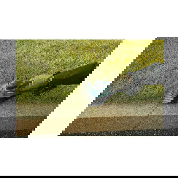 Makita DUM604ZX Tijeras para setos y arbustos con hoja de 16 cm, sin batería