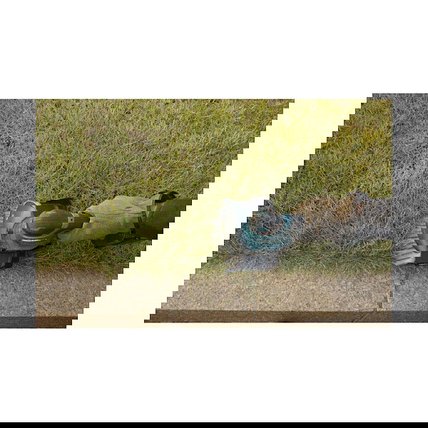 Makita DUM604ZX Tijeras para setos y arbustos con hoja de 16 cm, sin batería