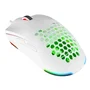 Rampage BLINK Ratón Gaming Conductor USB 12800 DPI RGB Sensor Óptico Blanco