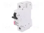 ETI POLAM Interruptor magnetotérmico ETIMAT 10 1P B6 6A 10kA