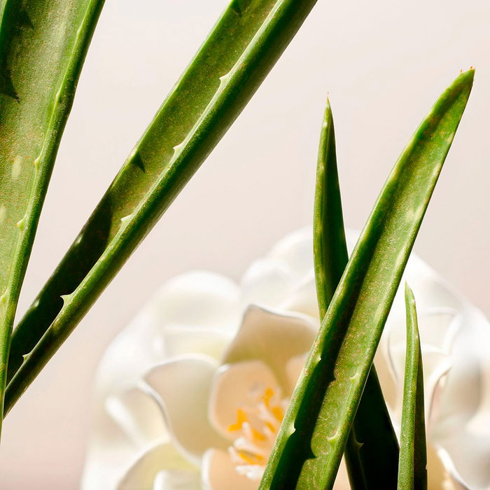 Rituals THE RITUAL OF NAMASTE Tónico Clarificante Facial 250 ml