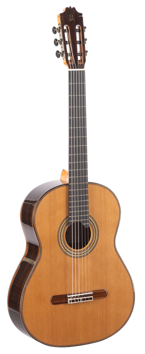 Admira Artista Serie Conservatorio Guitarra Clásica con Tapa de Cedro y Fondo de Ébano Admira Artista Serie Conservatorio Guitarra Clásica con Tapa de Cedro y Fondo de Ébano