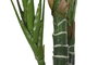DKD Home Decor Planta Hiedra Parlour Verde PE 60x60x175 cm