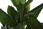 DKD Home Decor Planta Hiedra Parlour Verde PE 60x60x175 cm