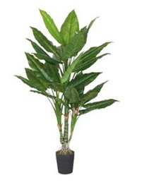 DKD Home Decor Planta Hiedra Parlour Verde PE 60x60x175 cm