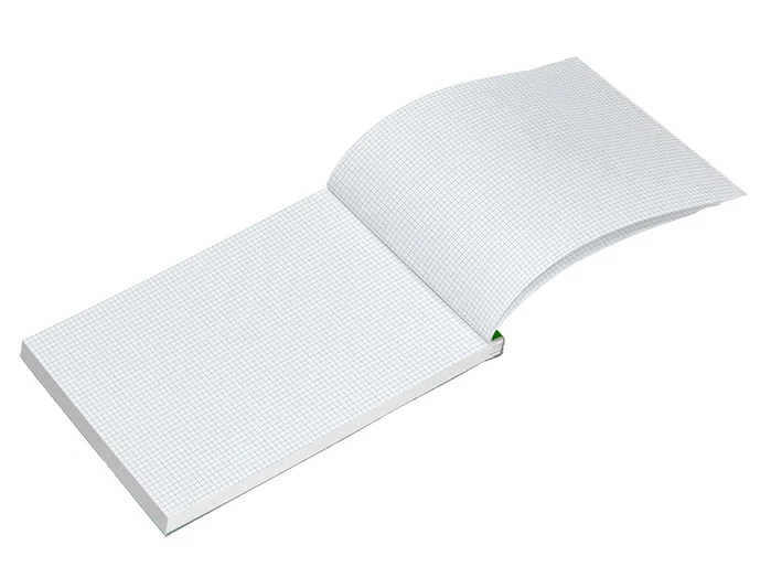 Liderpapel Bloc notas cuadro 4 mm A4 80 hojas