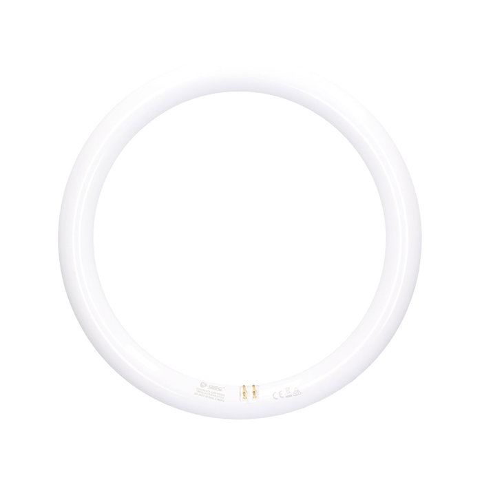 GSC Evolution Tubo circular LED Lisala 20W G10q 6500K GSC Evolution Tubo circular LED Lisala 20W G10q 6500K
