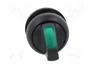 EATON ELECTRIC Interruptor Rotativo Verde 22mm RMQ-Titan