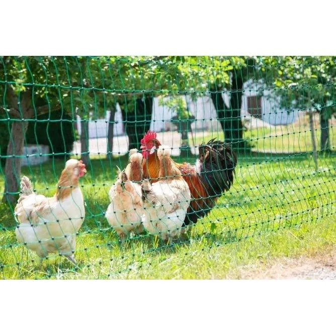 Kerbl Red Eléctrica para Aves de Corral KER4018653992661 - 25 m - 106 cm - Doble Punta - Verde Kerbl Red Eléctrica para Aves de Corral KER4018653992661 - 25 m - 106 cm - Doble Punta - Verde