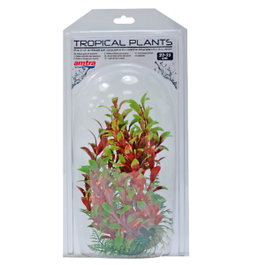 Nayeco Tropical Plant 22-25 cm