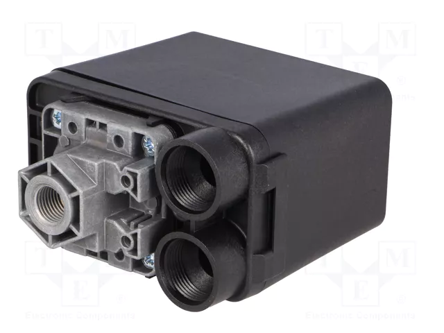 TELEMECANIQUE SENSORS Presostato XMP con conexión G1/4%