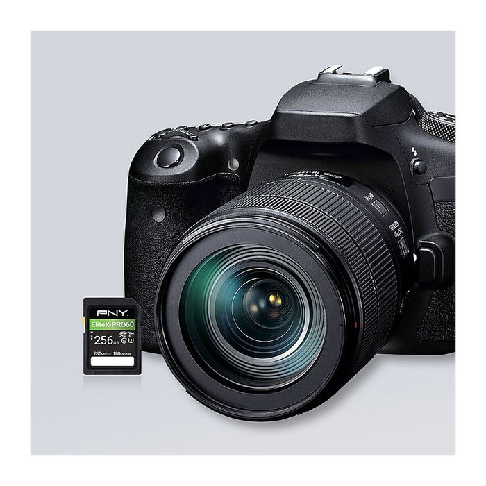 PNY EliteX-PRO60 Tarjeta SDXC 256 GB