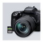 PNY EliteX-PRO60 Tarjeta SDXC 256 GB