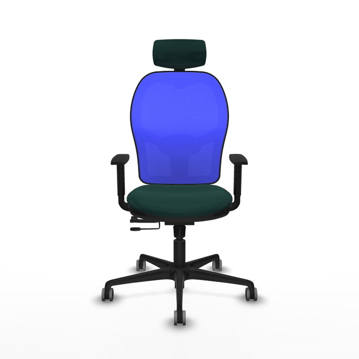 PIQUERAS Y CRESPO Silla de oficina Jorquera Verde botella y Azul PIQUERAS Y CRESPO Silla de oficina Jorquera Verde botella y Azul