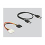 DeLOCK 41423 Tarjeta Riser PCI Express x1 a x16 con Cable USB