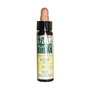 PLANTIS Acebo Nº 15 Flores de Bach 10 ml