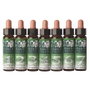 PLANTIS Acebo Nº 15 Flores de Bach 10ml