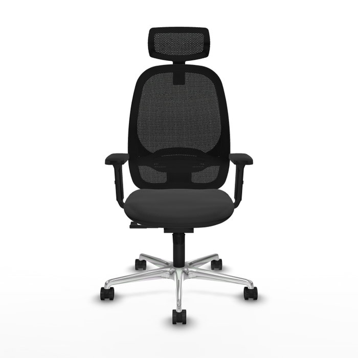 PIQUERAS Y CRESPO Silla de oficina Cilanco con Mecanismo Sincro Gris oscuro y Negro PIQUERAS Y CRESPO Silla de oficina Cilanco con Mecanismo Sincro Gris oscuro y Negro