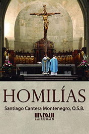 Homilías, Santiago Cantera Montenegro - SAN ROMAN