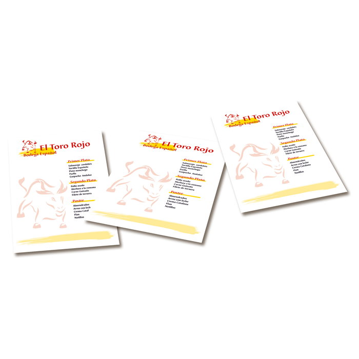 AVERY Zweckform Fotopapier 2576-150 DIN A4 mate 120 g/m² 150 hojas