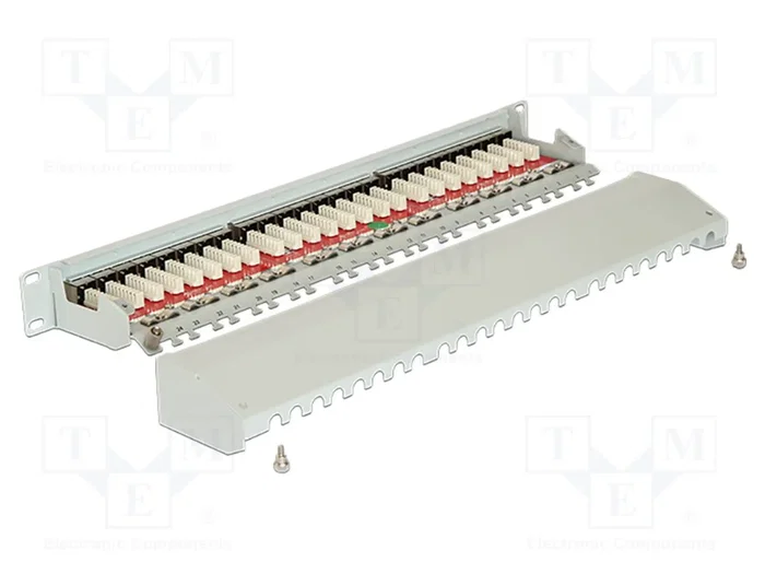 DeLOCK Patch Panel 24 Puertos Cat.6A 19 Pulgadas Gris
