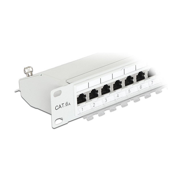 DeLOCK 43319 Patchpanel 24 Puertos Cat.6A Gris