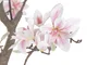 DKD Home Decor Árbol de Magnolio Blanco y Rosa en PE y Cemento